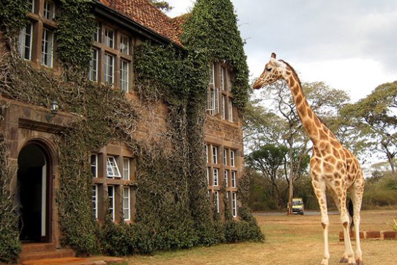 Giraffe Manor