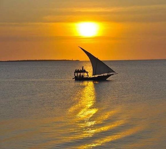 Cruising & Sailing Adventures