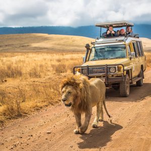 Amboseli 3 Days Camping Safari Amboseli 3 Days Camping Safari