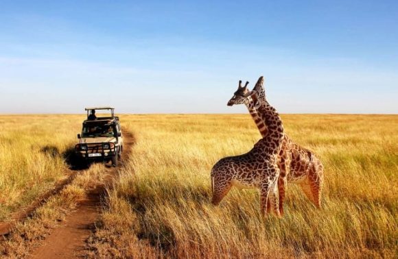 Tanzania’s Big Five Safari