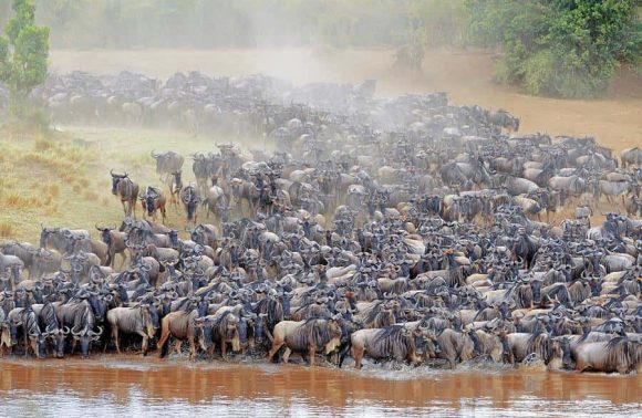 Maasai Mara National Reserve