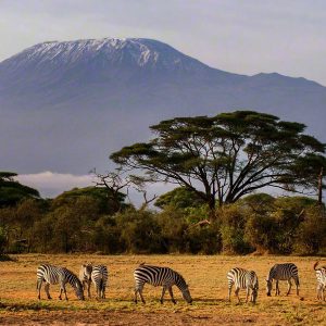 Amboseli National Park Amboseli National Park