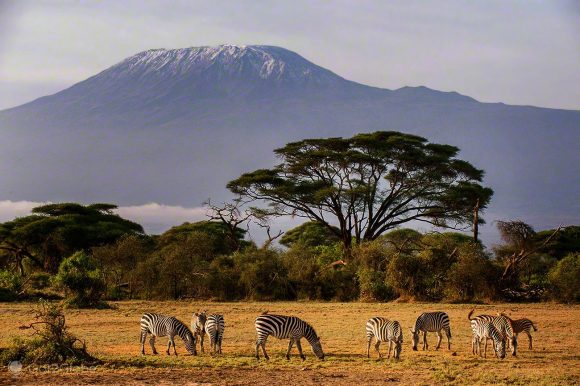 Amboseli National Park